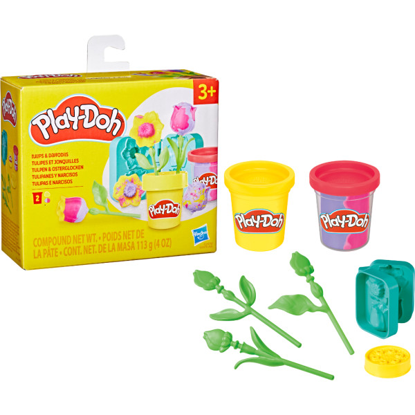 Фото - Наборы для лепки Hasbro Play-Doh Маленькие цветы (G2476_G2478)