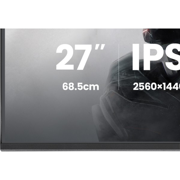 Фото - Монітор ігровий IIYAMA G2741QSU-B1