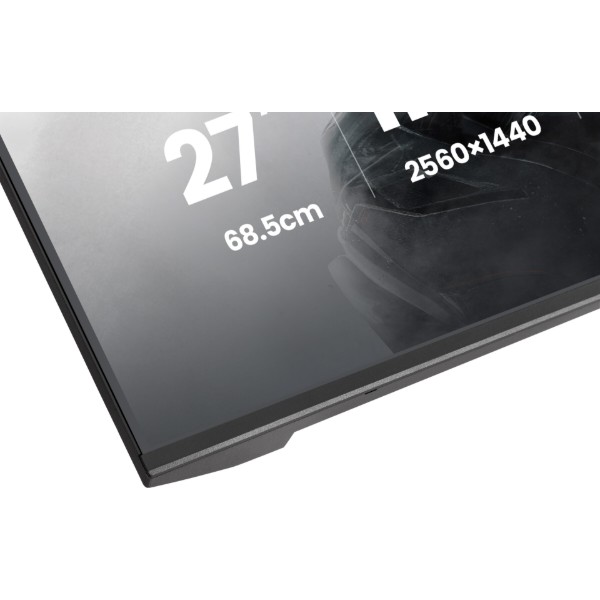 Фото - Монітор ігровий IIYAMA G2741QSU-B1