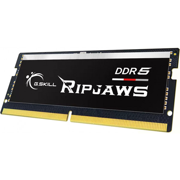 Фото - Память DDR G.Skill 16GB DDR5-5600 (F5-5600S4645A16GX1-RS)
