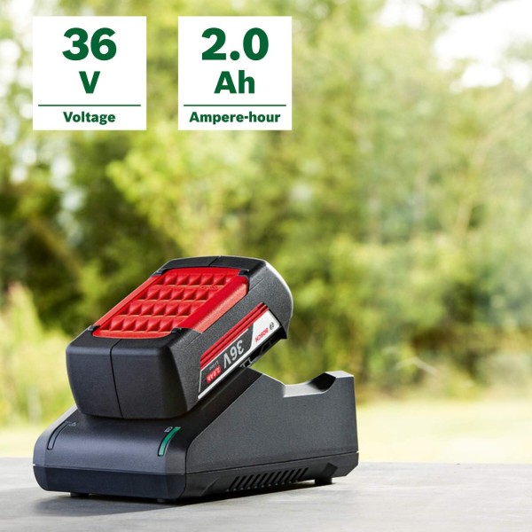 Фото - Акумулятор для електроінструментів Bosch GBA 36V 2.0Ah та ЗП AL 36V-20 (F.016.800.609)