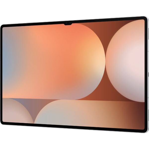Фото - Планшет Samsung Galaxy Tab S10 Ultra 5G 12/512Gb Silver (SM-X926BZSPEUC)