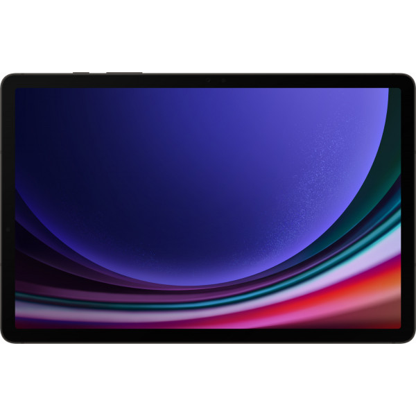 Планшет Samsung Galaxy Tab S9 5G 12/256Gb Graphite (SM-X716BZAESEK