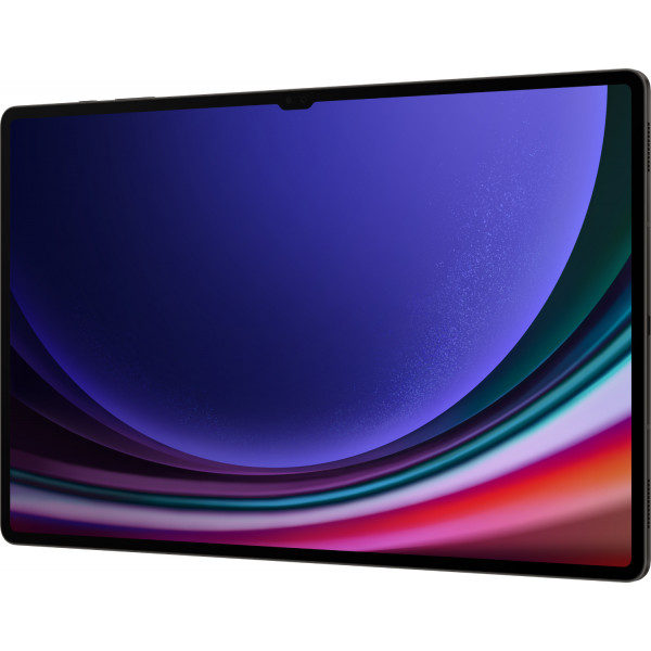 Фото - Планшет Samsung Galaxy Tab S9 Ultra 5G 12/512Gb Graphite (SM-X916BZAESEK)