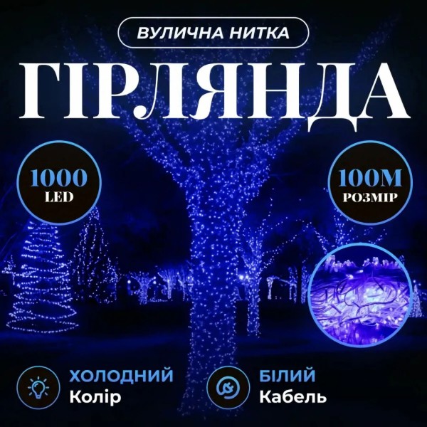 Фото - Гірлянда лінійна GarlandoPro 1000 LED 100 м (CF1000L100MWBL)