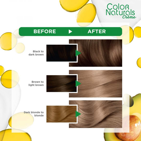 Фото - Фарба для волосся Garnier Color Naturals 7.1 Вільха 110 мл (3600540676818)