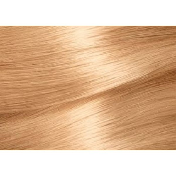 Фото - Фарба для волосся Garnier Color Naturals 9.1 Сонячний пляж 110 мл (3600540676832)