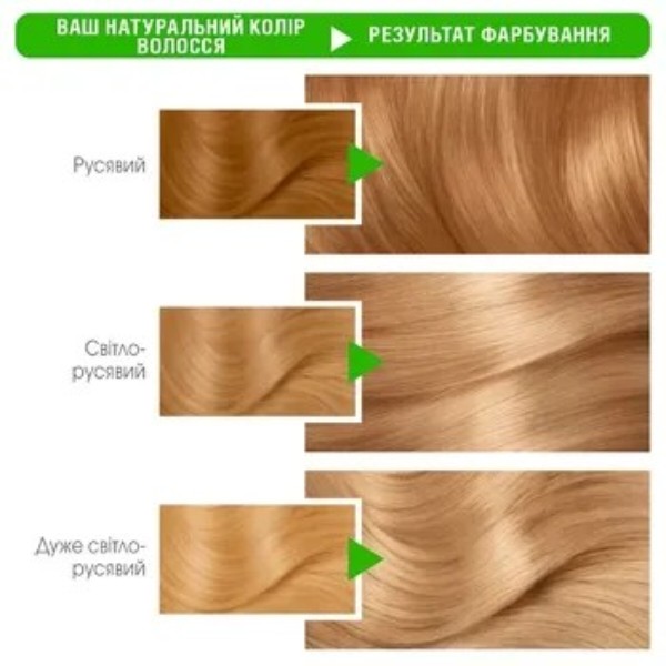 Фото - Фарба для волосся Garnier Color Naturals 9.1 Сонячний пляж 110 мл (3600540676832)