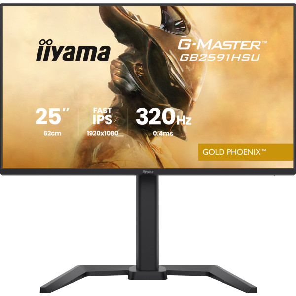 Фото - Монітор ігровий IIYAMA GB2591HSU-B1