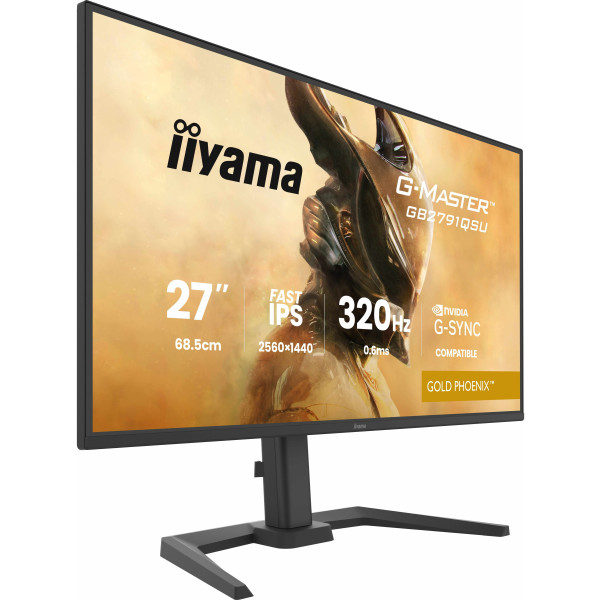 Фото - Монітор ігровий IIYAMA GB2791QSU-B1