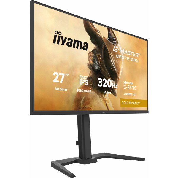 Фото - Монітор ігровий IIYAMA GB2791QSU-B1