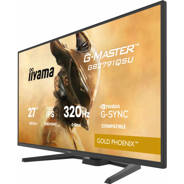 Фото - Монітор ігровий IIYAMA GB2791QSU-B1