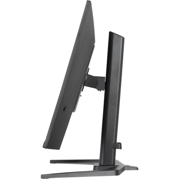 Фото - Монитор игровой IIYAMA GB3295QSU-B1