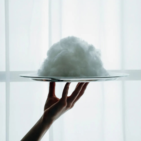 Фото - Подушка валик MirSon №8383 Naturale Line 19-4150 Ofelia BamBoo 15x50 см (2200006249788)