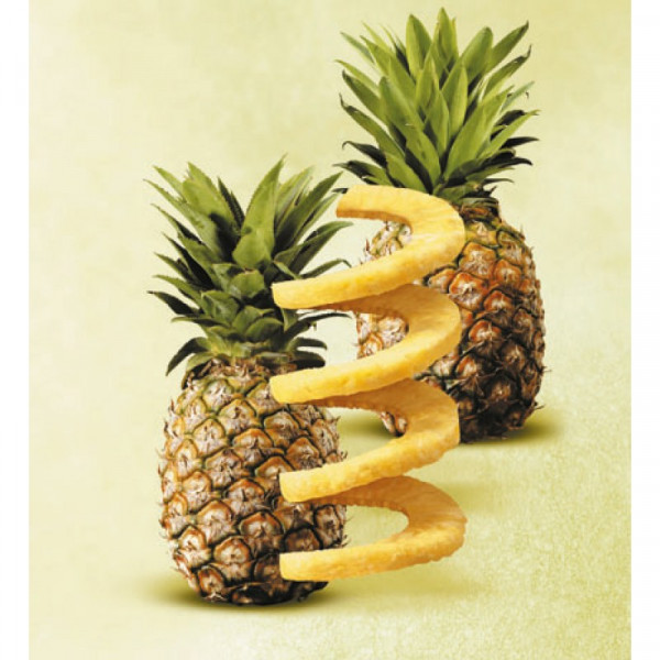 Фото - Слайсер для ананаса Gefu Professional Plus 3 пр. (13550)