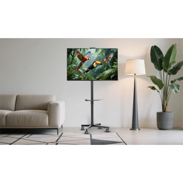 Фото - Кріплення для телевізора Gembird TVS-55T-03