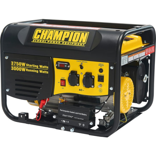Фото - Генератор бензиновий Champion CPG4000E1-EU