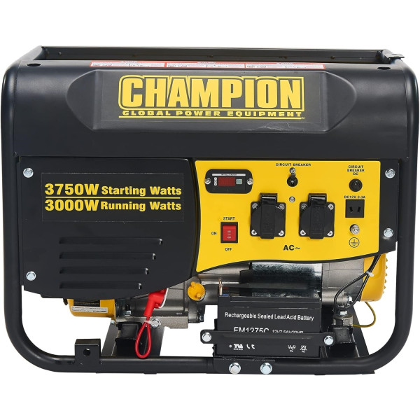 Фото - Генератор бензиновий Champion CPG4000E1-EU