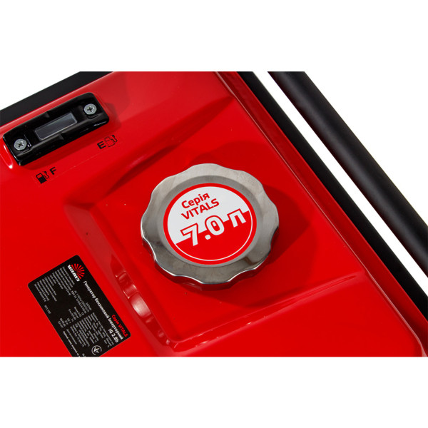 Фото - Генератор бензиновий VITALS IG 2.8b