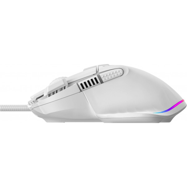 Фото - Мышь проводная игровая GamePro GM500W