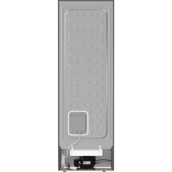 Фото - Морозильная камера Gorenje FN619EAXL6