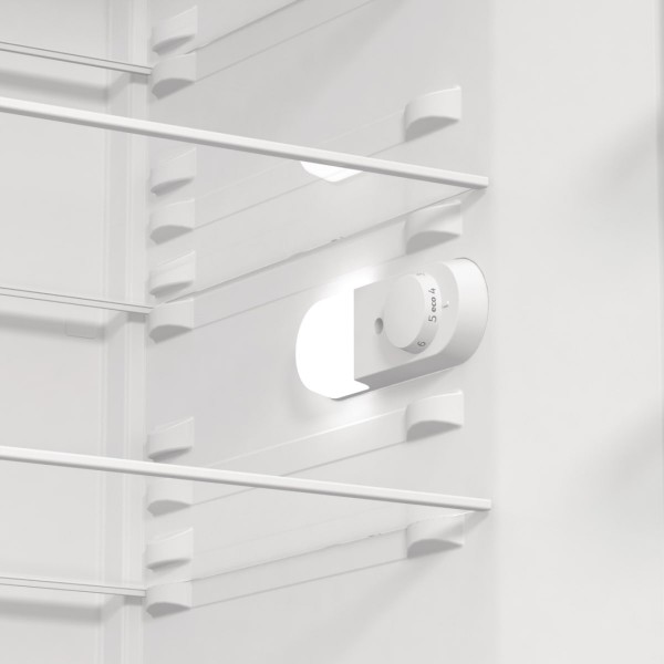 Фото - Холодильник Gorenje R619EES5