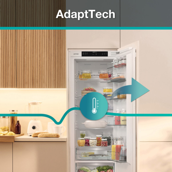 Фото - Холодильник вбудований Gorenje RI517E62WF