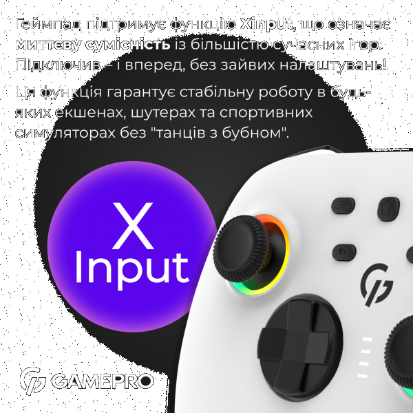 Фото - Геймпад GamePro GPX13W
