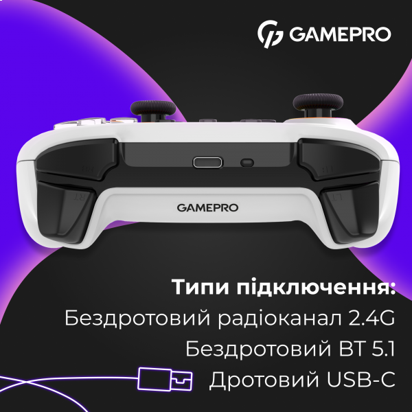 Фото - Геймпад GamePro GPX13W