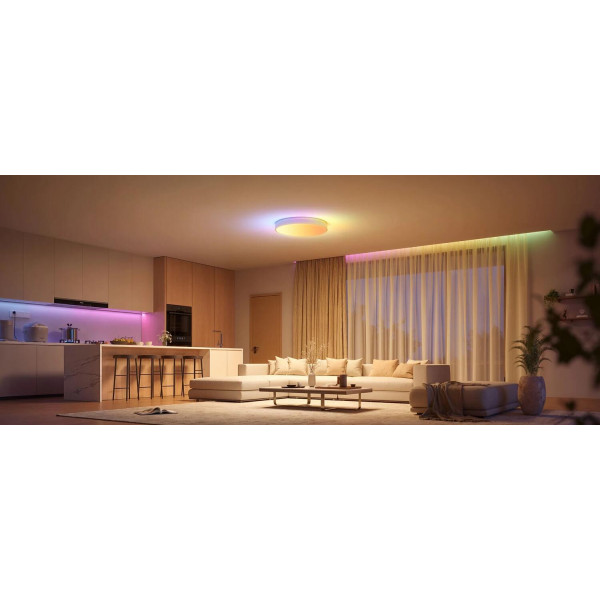 Фото - Розумна лампа Govee Smart Ceiling Light Pro White (H60A6C01)