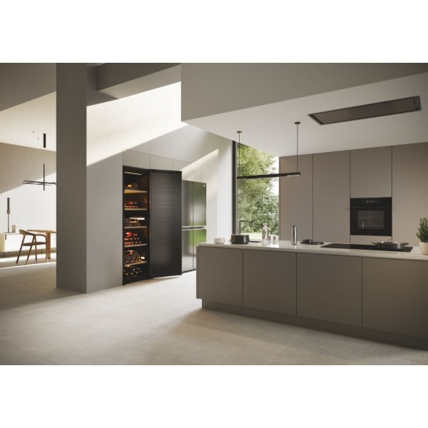 Фото - Винна шафа Haier HWS247FDU1