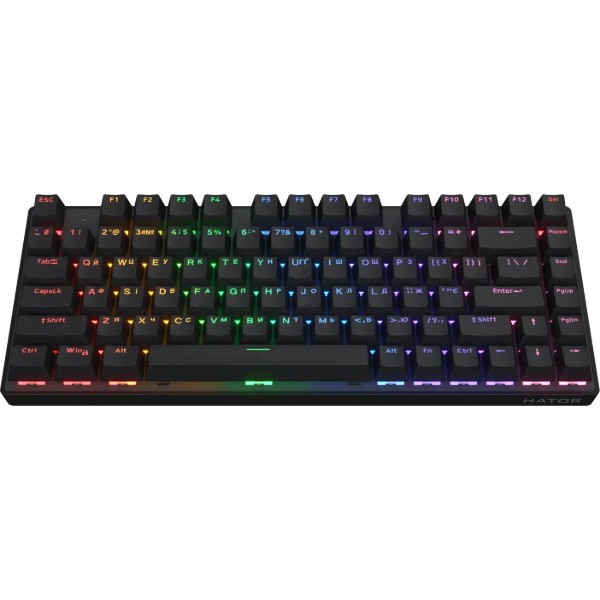 Фото - Клавиатура беспроводная игровая Hator Icefall Mecha 75 Wireless Rainbow Black (HTK275UA)