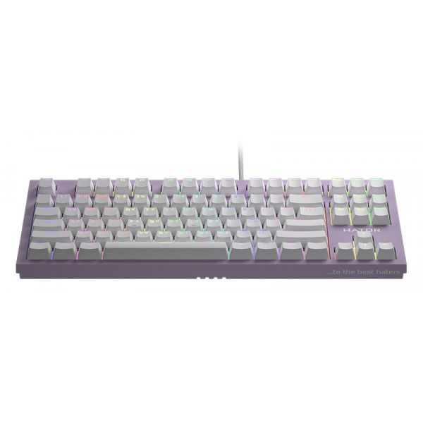 Фото - Клавіатура дротова ігрова Hator Skyfall TKL PRO ENG/UKR/RUS (HTK-658) Lilac
