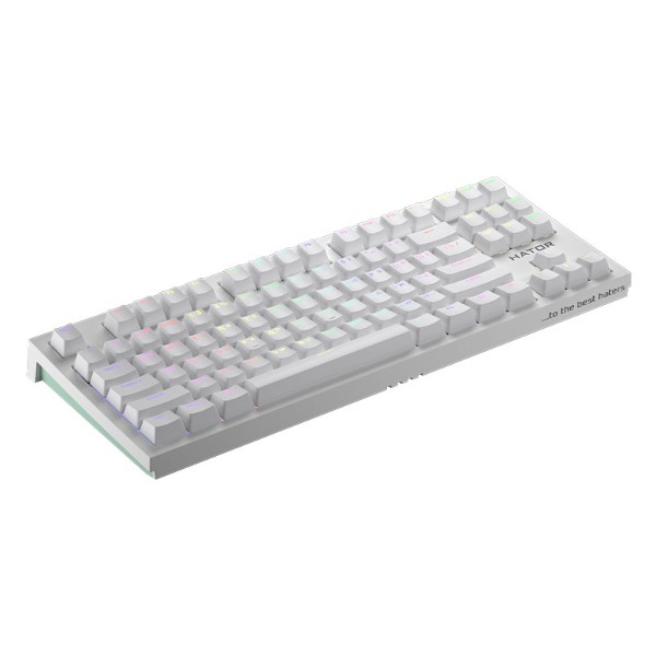 Фото - Клавиатура беспроводная игровая Hator Skyfall TKL PRO Wireless ENG/UKR/RUS (HTK-664) White