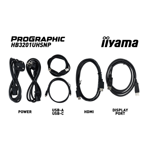 Фото - Монітор IIYAMA HB3201UHSNP-B1