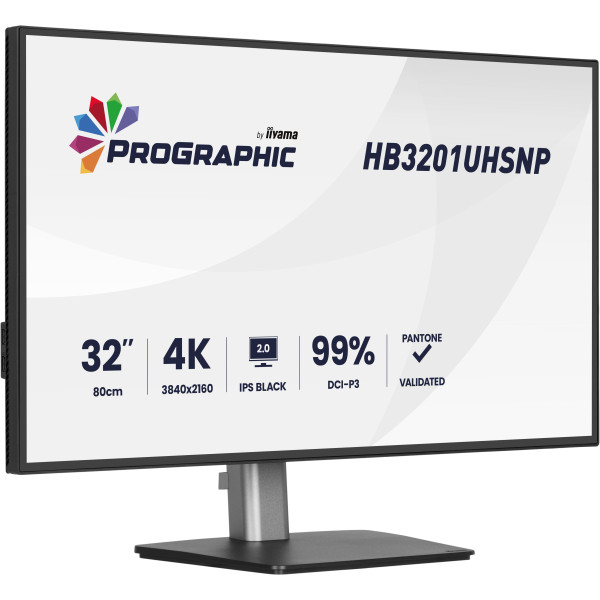 Фото - Монітор IIYAMA HB3201UHSNP-B1
