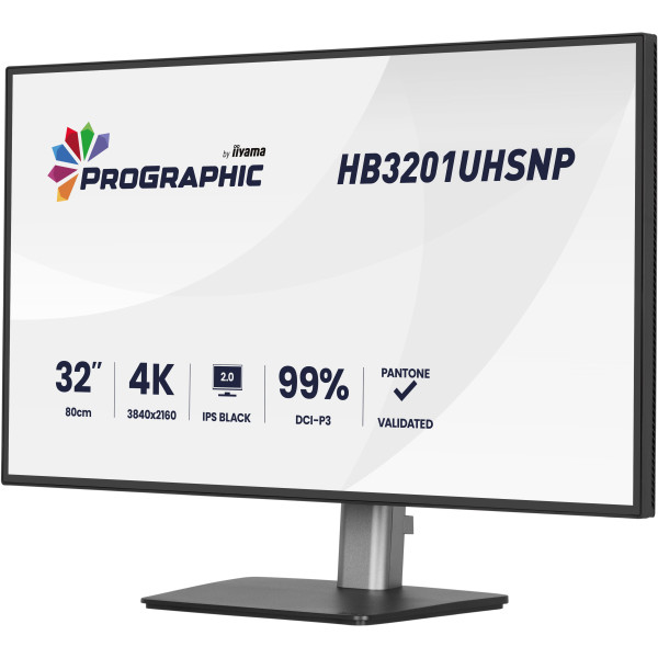 Фото - Монітор IIYAMA HB3201UHSNP-B1