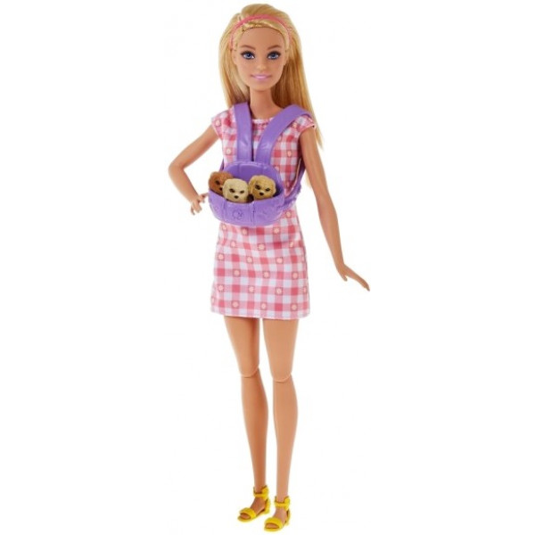 Фото - Ігровий набір Barbie "Маленьке тріо"  (HCK75)