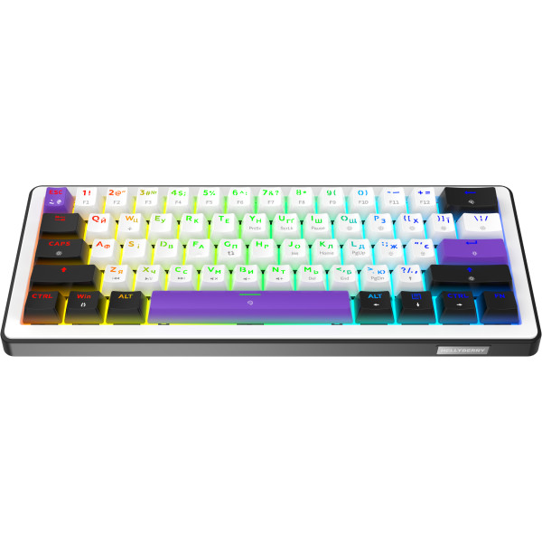 Фото - Клавіатура дротова ігрова Hator Hellyberry HK60 White-Violet (HK60)