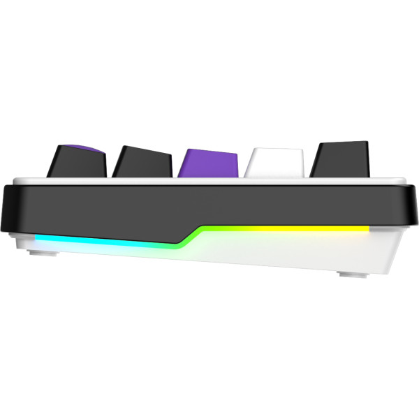 Фото - Клавіатура дротова ігрова Hator Hellyberry HK60 White-Violet (HK60)