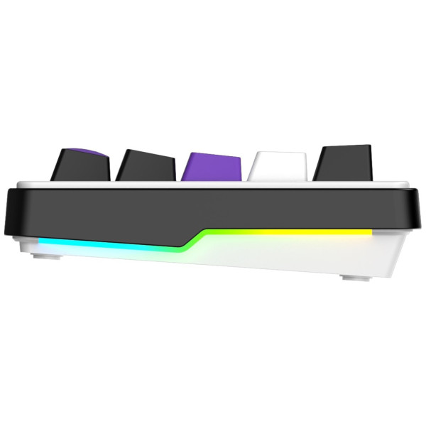 Фото - Клавиатура беспроводная игровая Hator Hellyberry HK60 wireless White-Violet (HK60_wireless)