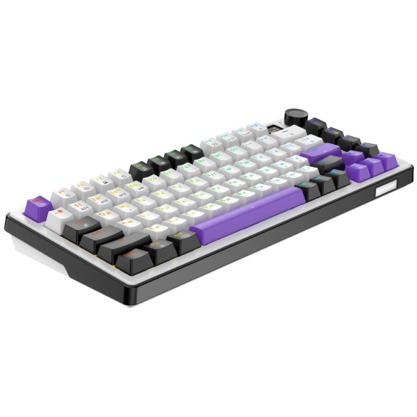 Фото - Клавиатура беспроводная игровая Hator Hellyberry HK75 РRO wireless White-Violet (HK75_PRO_wireless)