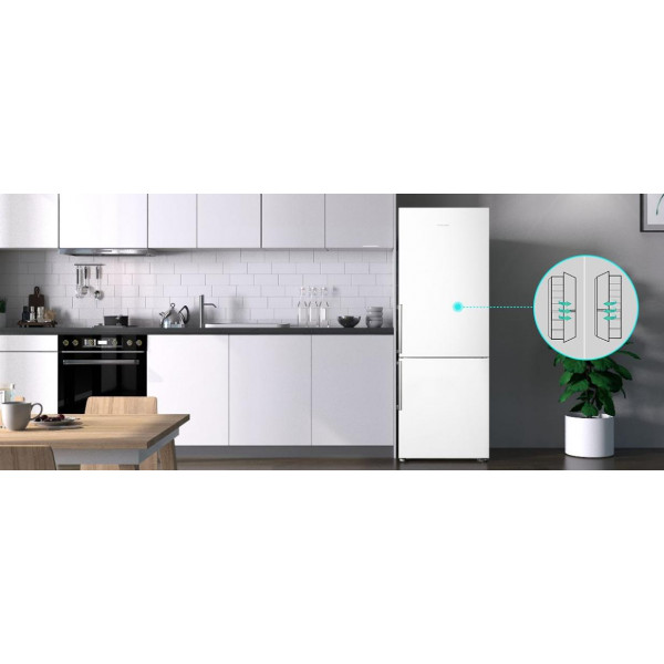 Фото - Холодильник Hisense RB343D4DWF