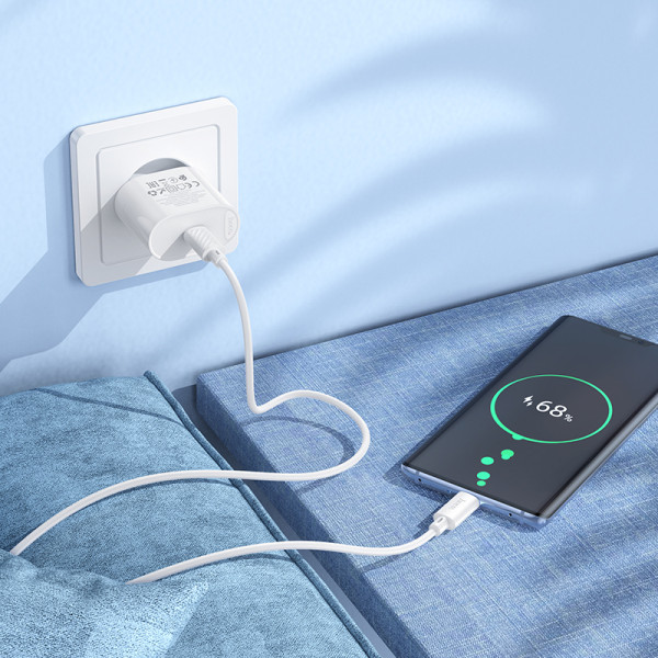 Фото - Сетевое зарядное устройство HOCO C109A(PD20W) Fighter single port PD20W charger set(C to C) White (6942007656672)