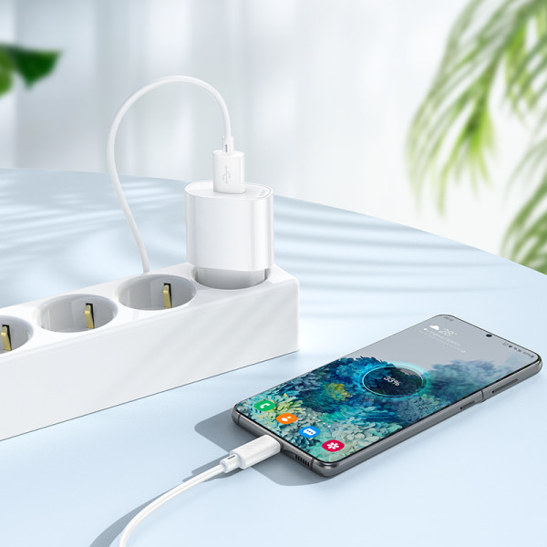 Фото - Сетевое зарядное устройство HOCO C109A(10.5W) Fighter single port charger set(Micro) White (6942007656603)