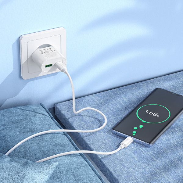 Фото - Сетевое зарядное устройство HOCO C109A(PD20W+QC3.0) Fighter PD20W+QC3.0 charger set(C to C) White (6942007656733)