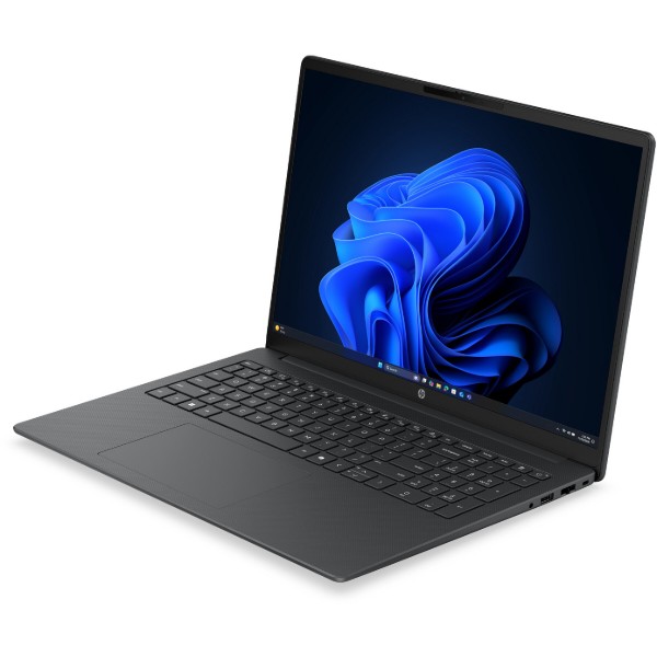 Фото - Ноутбук HP 200-G2a (DS9E2ET) Silver