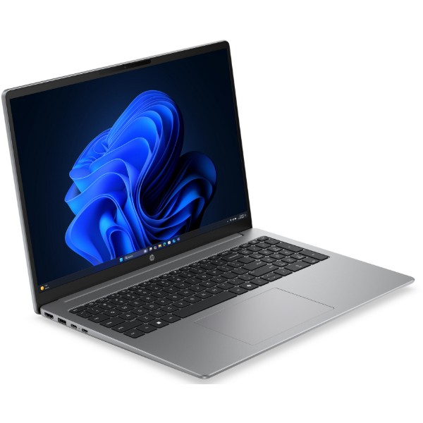 Фото - Ноутбук HP 200-G2a (DS9F3ET) Silver