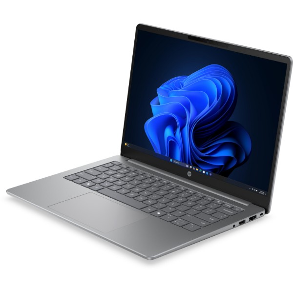 Фото - Ноутбук HP 200-G2a (DV0B7ET) Silver