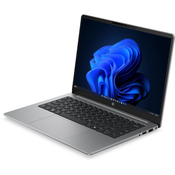 Фото - Ноутбук HP 200-G2i (DU9Z9ET) Silver